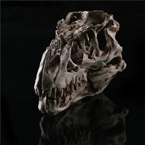 1 x Tyrannosaurus Rex Dinosaur Skull Handicrafts Resin Fossil Simulation Skull Model For Collectibles Light Color 15*11.5*8cm