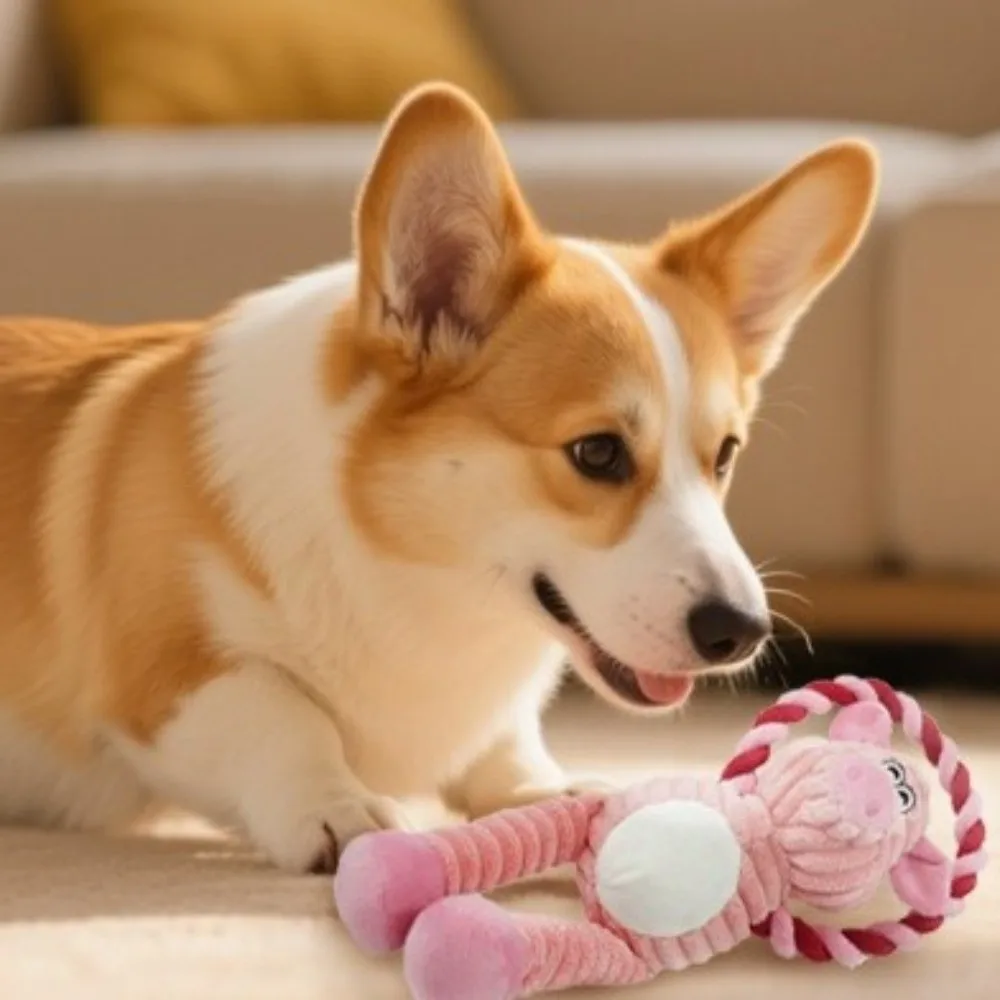 

Bite Resistant Dog Chew Knot Toy Sounding Cartoon Dog Squeaking Toys Animals Shaped Cotton Rope Pull Ring Teeth Cleaning
