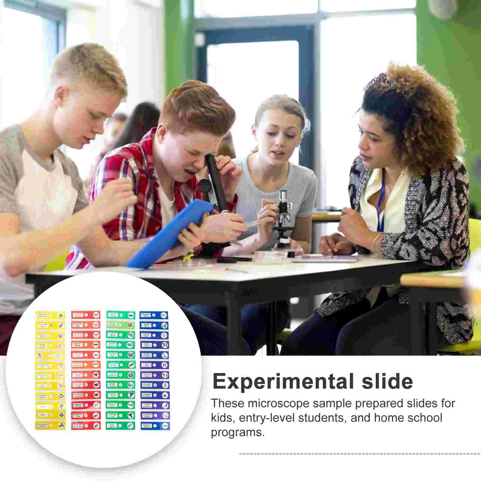 Portaobjetos para microscopio preparados, muestra biológica transparente, fácil de observa, etiquetas de plástico ABS para escuela en casa, 10 Uds.