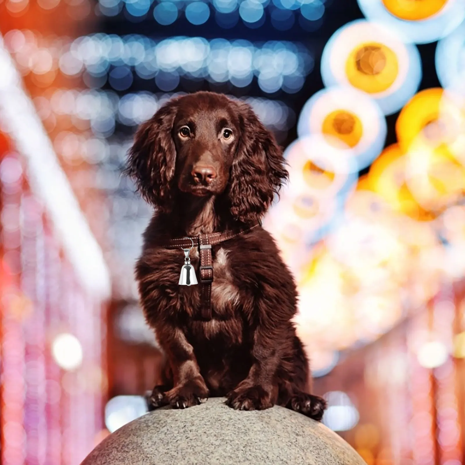 

Multi-Function Cat Collar Bell Durable Hanging Charm for Pet Collar Decoration Lovely Small Bell for Dog Cat Accessories