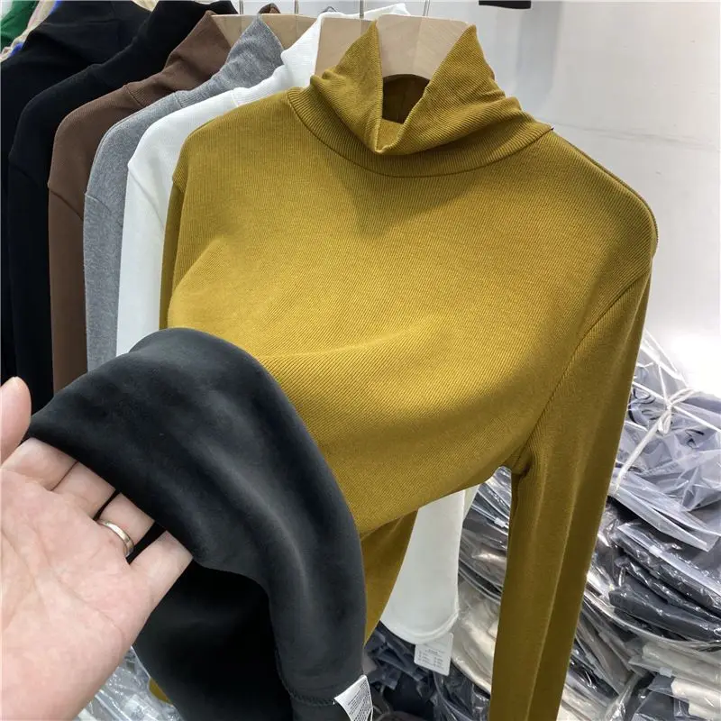 Korean Commute Solid Color Versatile Simplicity Plush Thickening High Collar Internal Construction Women\'s Top Autumn 2024