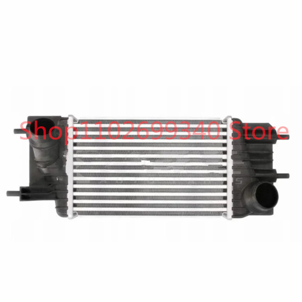 Turbocharge Air Inter Cooler Intercooler For Nissan Juke 1.6L I4 AT 2016- 14461-1KB2A 14461 1KB2A 144611KB2A