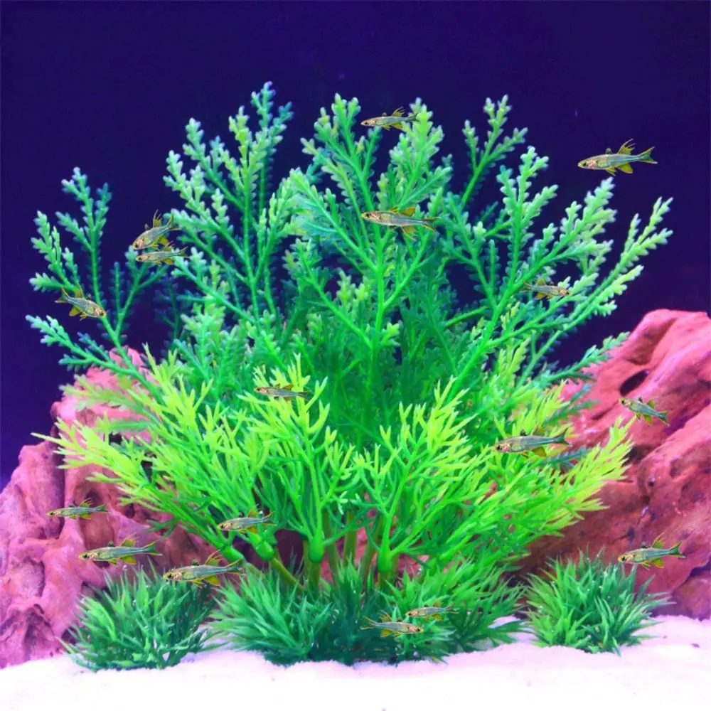 

2pcs Aquarium Ornament Plastic Aquatic Plants Creative Vivid Fake Grass Simulated Artificial Seaweed Water Grass Underwater