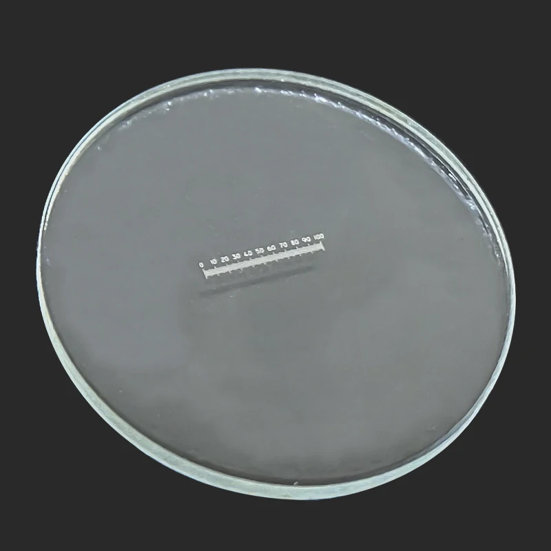 DIV=0.05mm Microscope Micrometer Microscope Eyepiece Optical Glass Lens with 100mm Scale Horizontal Measurement Diameter 19mm