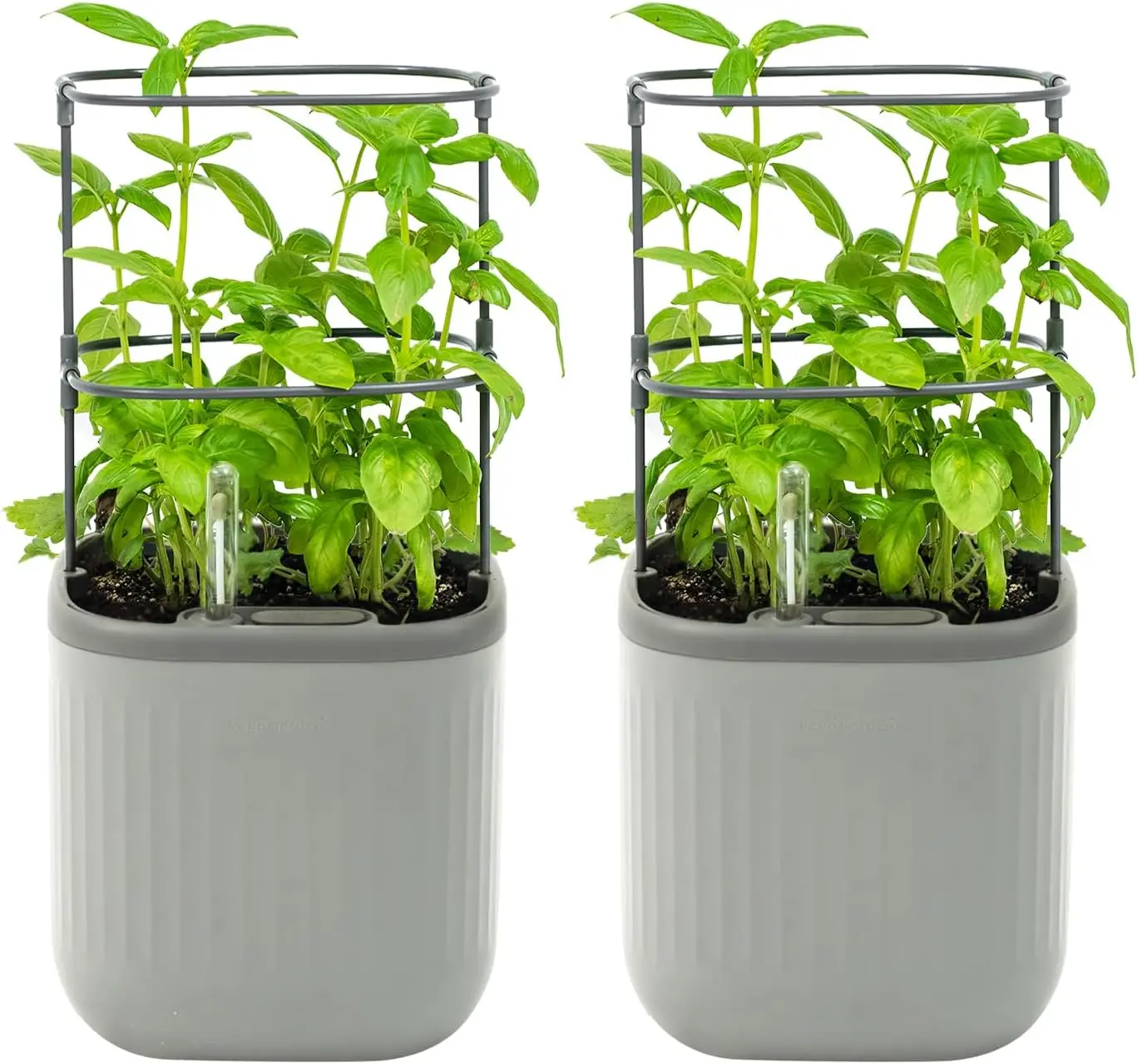 

Mini Planter Indoor Pots with Trellis Self-Watering Herb Countertop Planter for Climbing Vegetables Flowers Mint Plants Cage 2 P