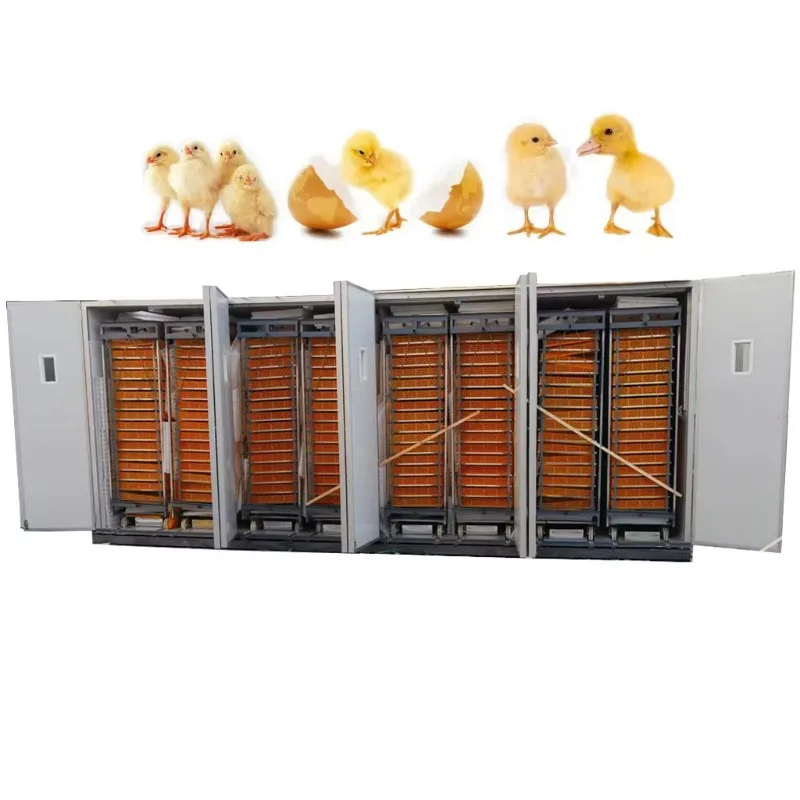 Fully Automatic Large Bird Egg Incubator High Quality 45000 Chicken Egg Hatchery Customized Breeding Equipment