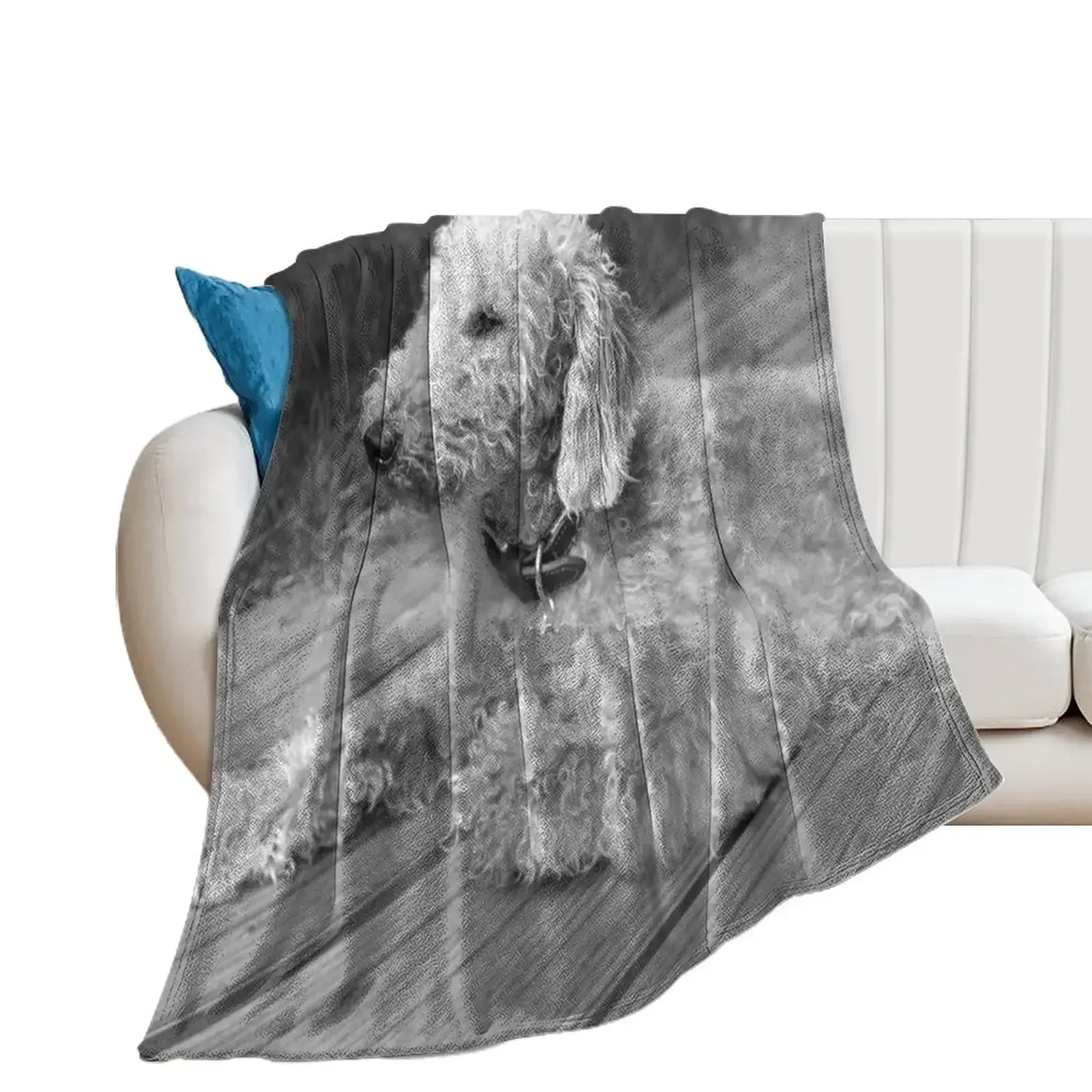 

Bedlington Terrier Photo Throw Blanket Luxury Throw heavy to sleep Blankets Sofas Of Decoration Blankets