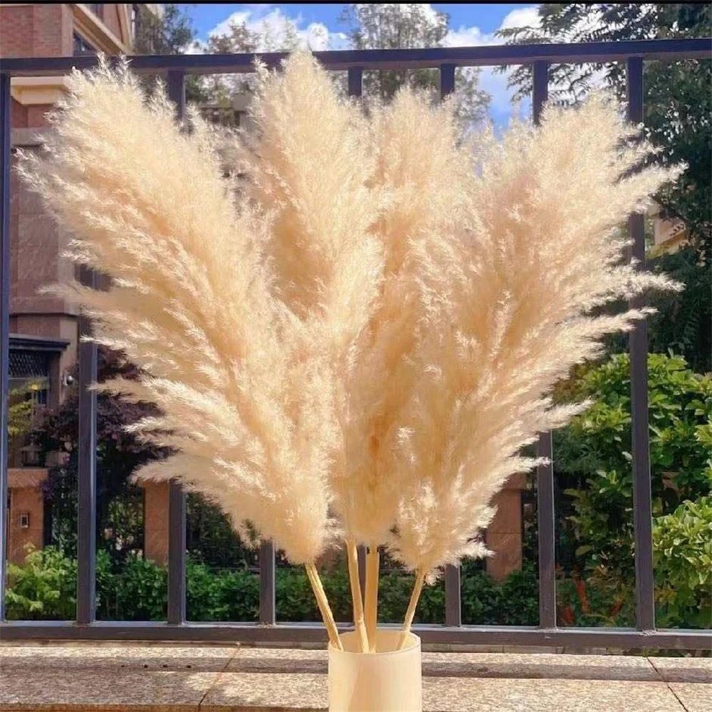 

Large Dried Pampas Grass Decor Dried Flowers Bouquet Wedding Arch Floral Arrangements Rustic Boho Home Wedding Party Decorations