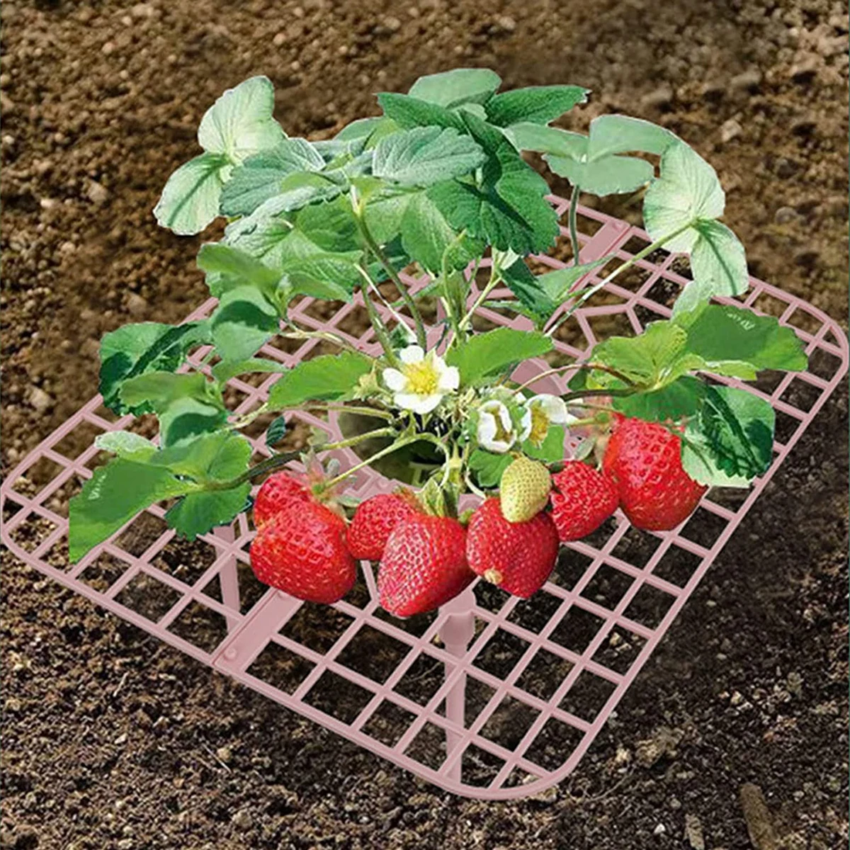 5/10/20Pcs Strawberry Climbing Vine Pillar Brackets Square Plant Protection Holder Stand Fruit Rack Garden Balcony Tools