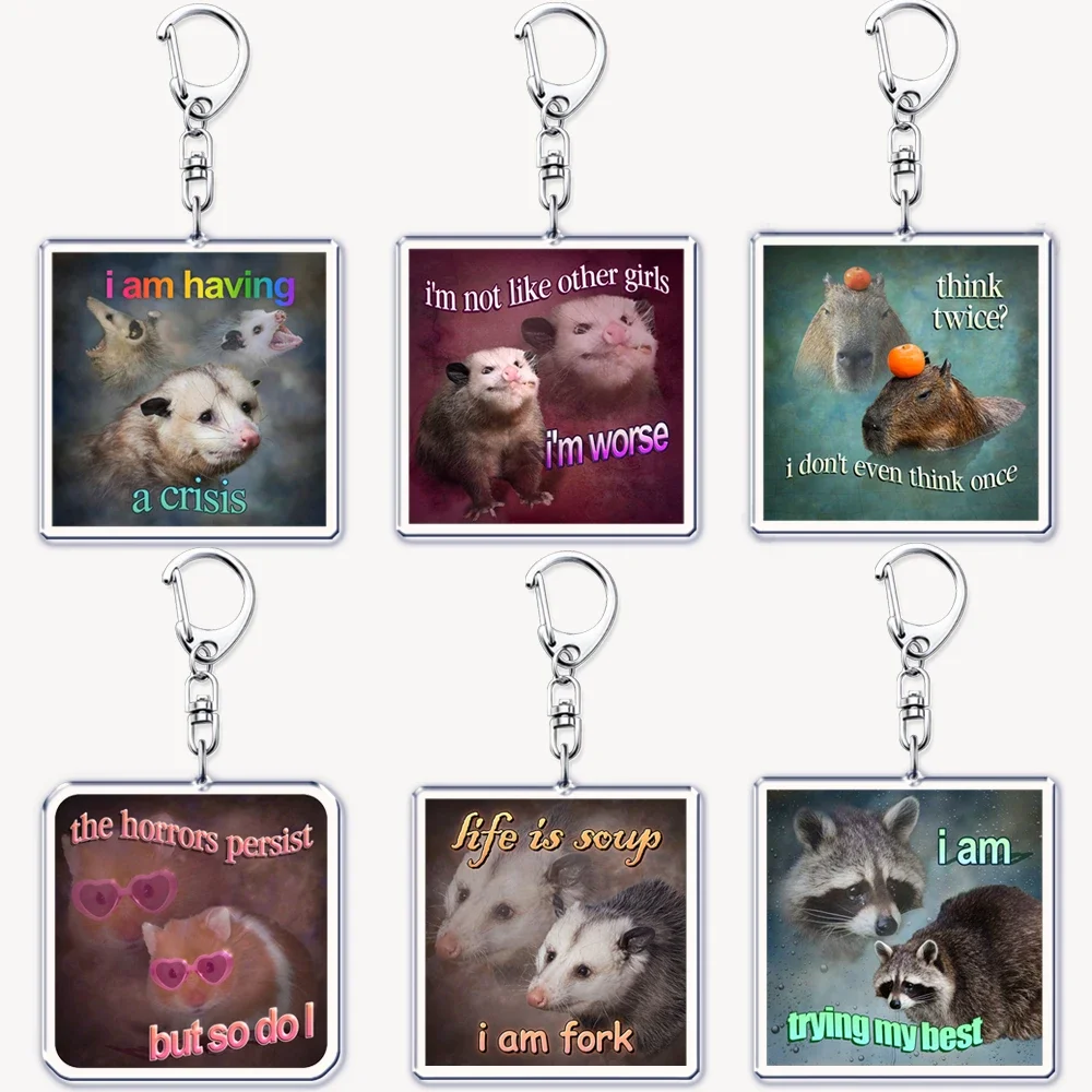Funny Possum Hamster Raccoon Cat Meme Acrylic Keychains Keyring for Accessories Bag Pendant Key Chain Ring Jewelry Fans Gifts