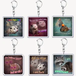 Funny Possum Hamster Raccoon Cat Meme Acrylic Keychains Keyring for Accessories Bag Pendant Key Chain Ring Jewelry Fans Gifts