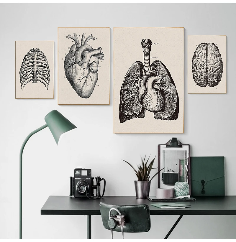 Human Anatomy Wall Art Hospital Vintage Posters and Prints Doctor Office Decoration Skeleton Anatomical Skull Canvas Painting