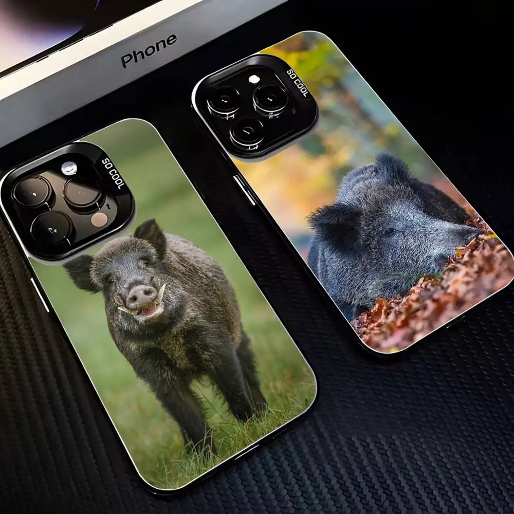 

Animal Wild Boar Phone Case For iPhone 16,15,14,13,12,11,Mini,Pro,MAX Black Matte Shockproof Cover