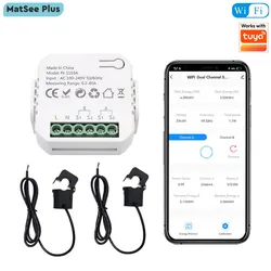 Tuya-Medidor de energía inteligente con WiFi, dispositivo bidireccional de 1/2 canales con abrazadera CT, Monitor con aplicación, potencia de importación y exportación, 80A, CA 110V/240V