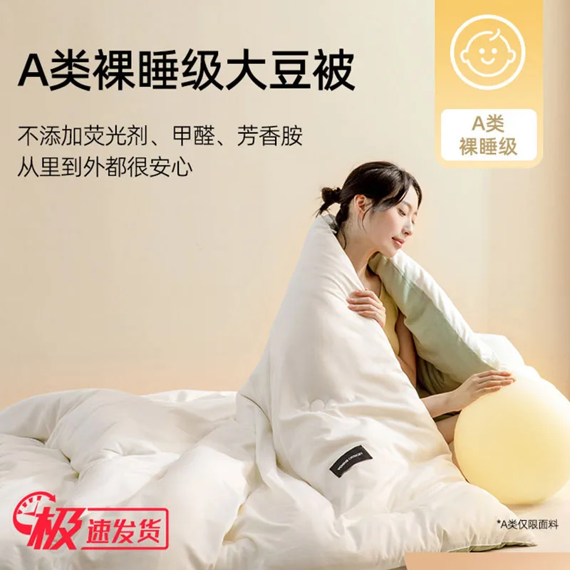 Class a Soybean Winter Quilt Cotton Core Spring Autumn Student Dormitory Summer Cool Air Quilt