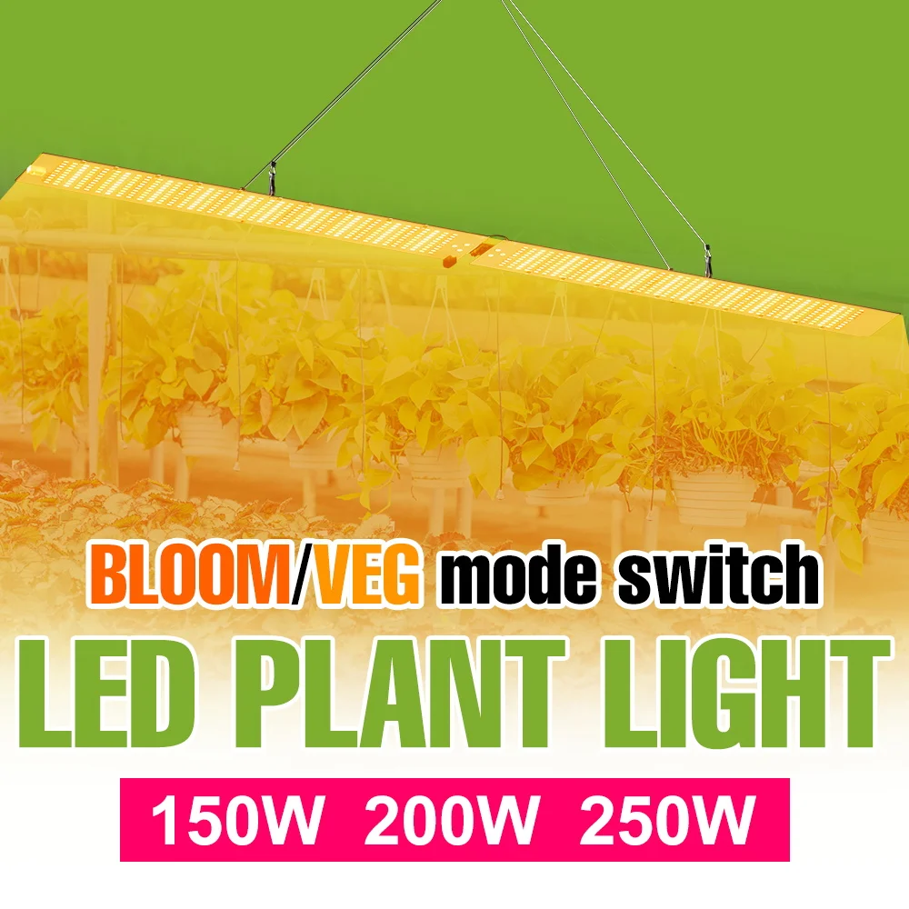 250w-led量子ボード植物育成ライト-110v-フルスペクトル-室内栽培ランプ-温室-水耕栽培-野菜-種まき-補光照明