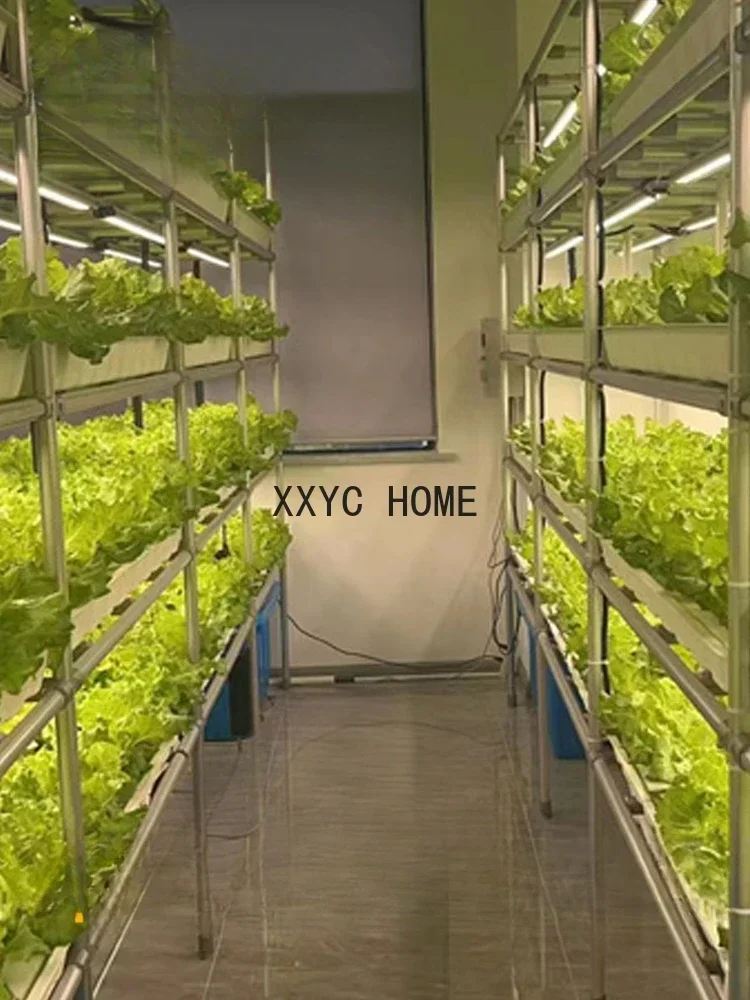 

Soilless Cultivation Indoor Greenhouse Plants