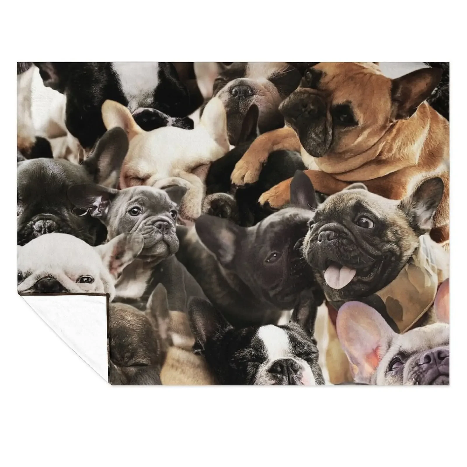 

French Bulldogs Throw Blanket Fashion Sofas Furrys Luxury St Decorative Throw Blankets