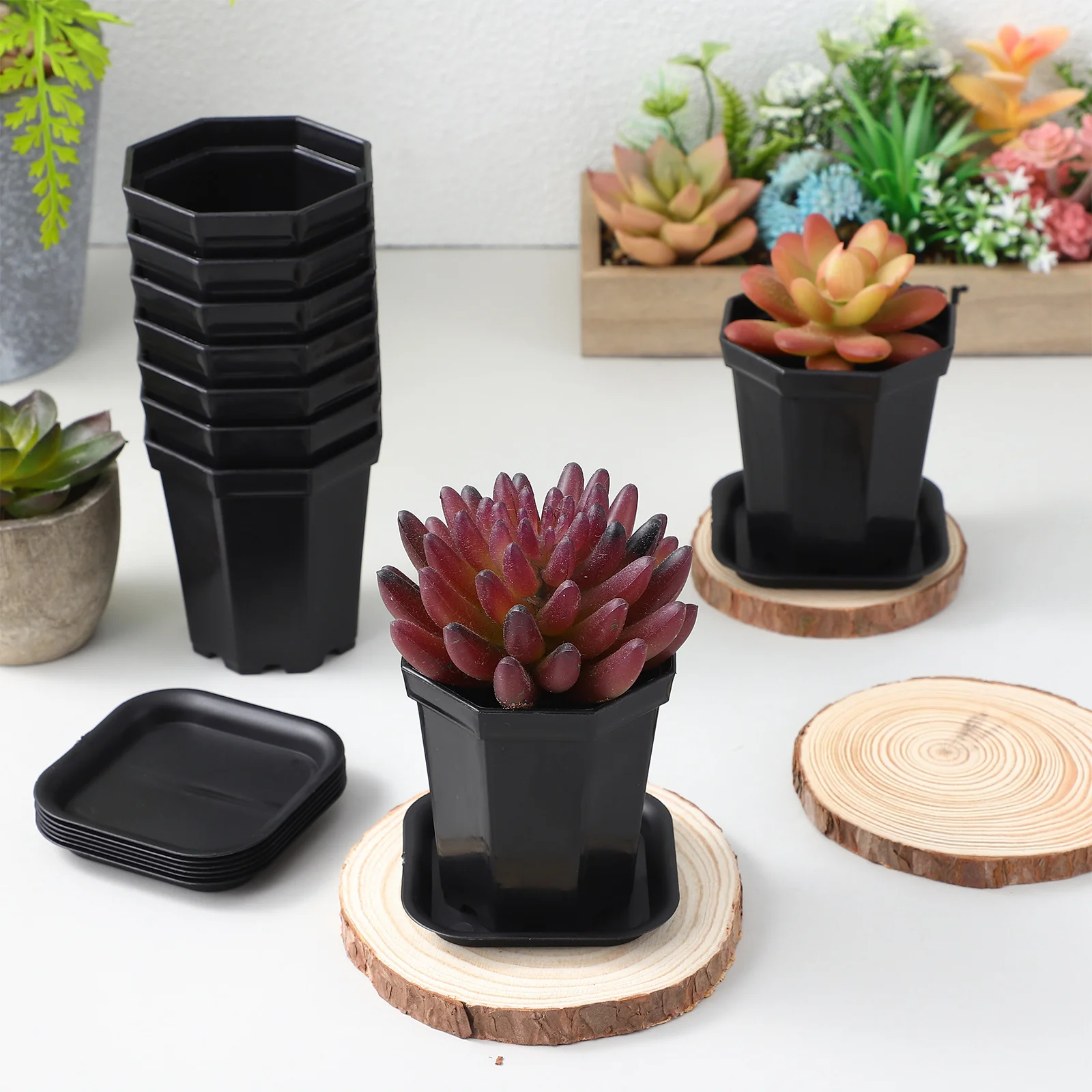 

10Set Night Black Octagonal Plastic Nursery Flower Pots Saucers for Succulents Indoor Outdoor Gardening Small Plant Containers