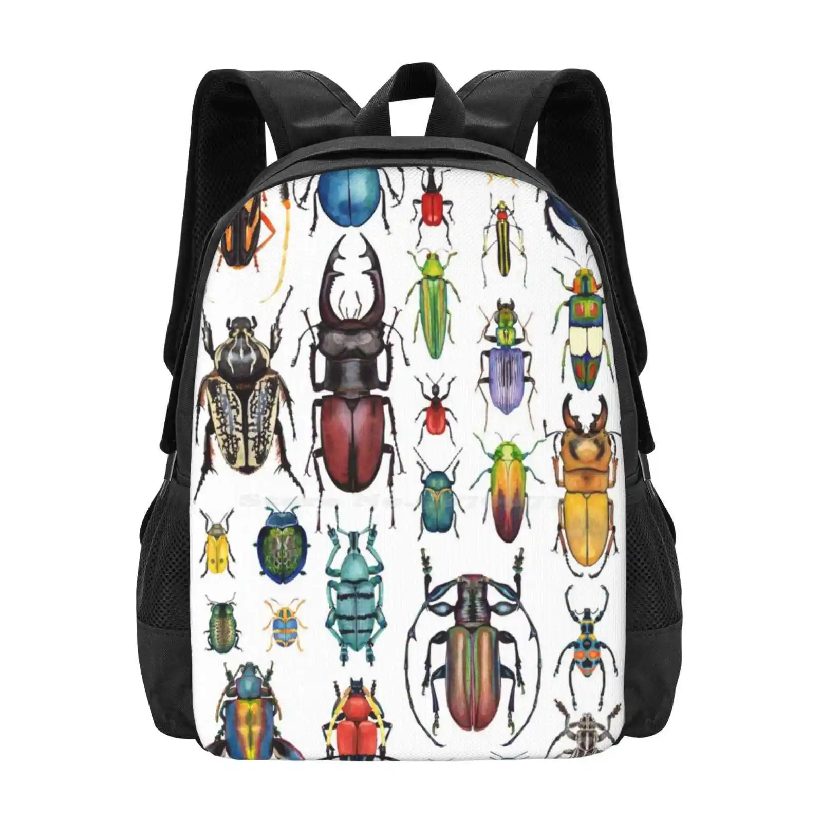 Beetle Collection Backpacks For School Teenagers Girls Travel Bags Bugs Beetles Beetle Collection Beautiful Insects Watercolor