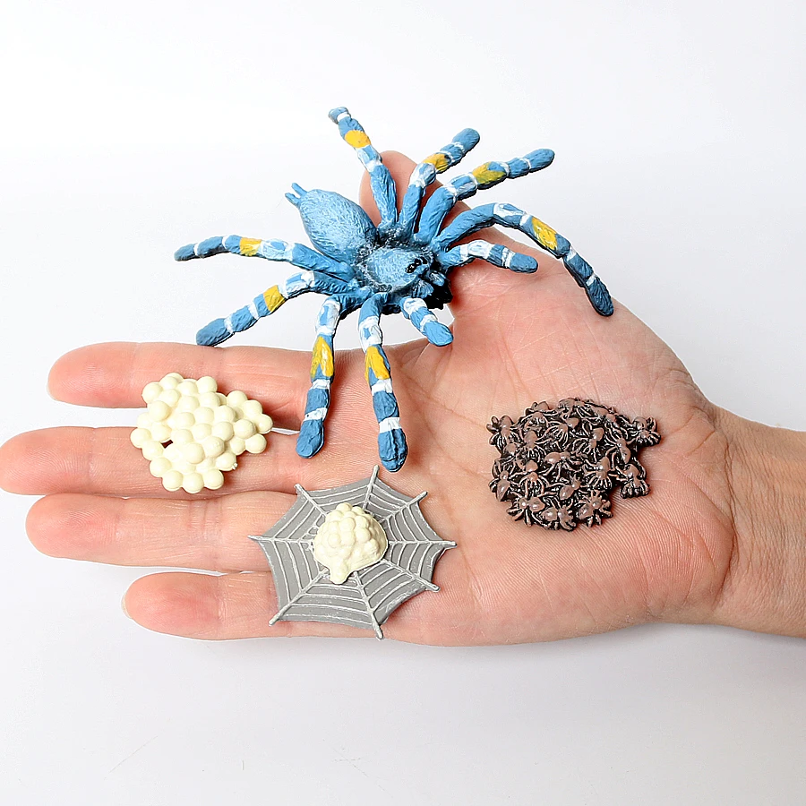 سلسلة دورة حياة مونتيسوري الواقعية من العنكبوت المراوح العقرب النمل الرتيلاء الحشرات نموذج أرقام تعلم ألعاب تعليمية