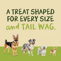 Beef Jerky Dog Treats, Premium Quality Raw Protein Warps for Dogs, Bite-Sized Training Treats & Food Topper, Cat Friendly 6