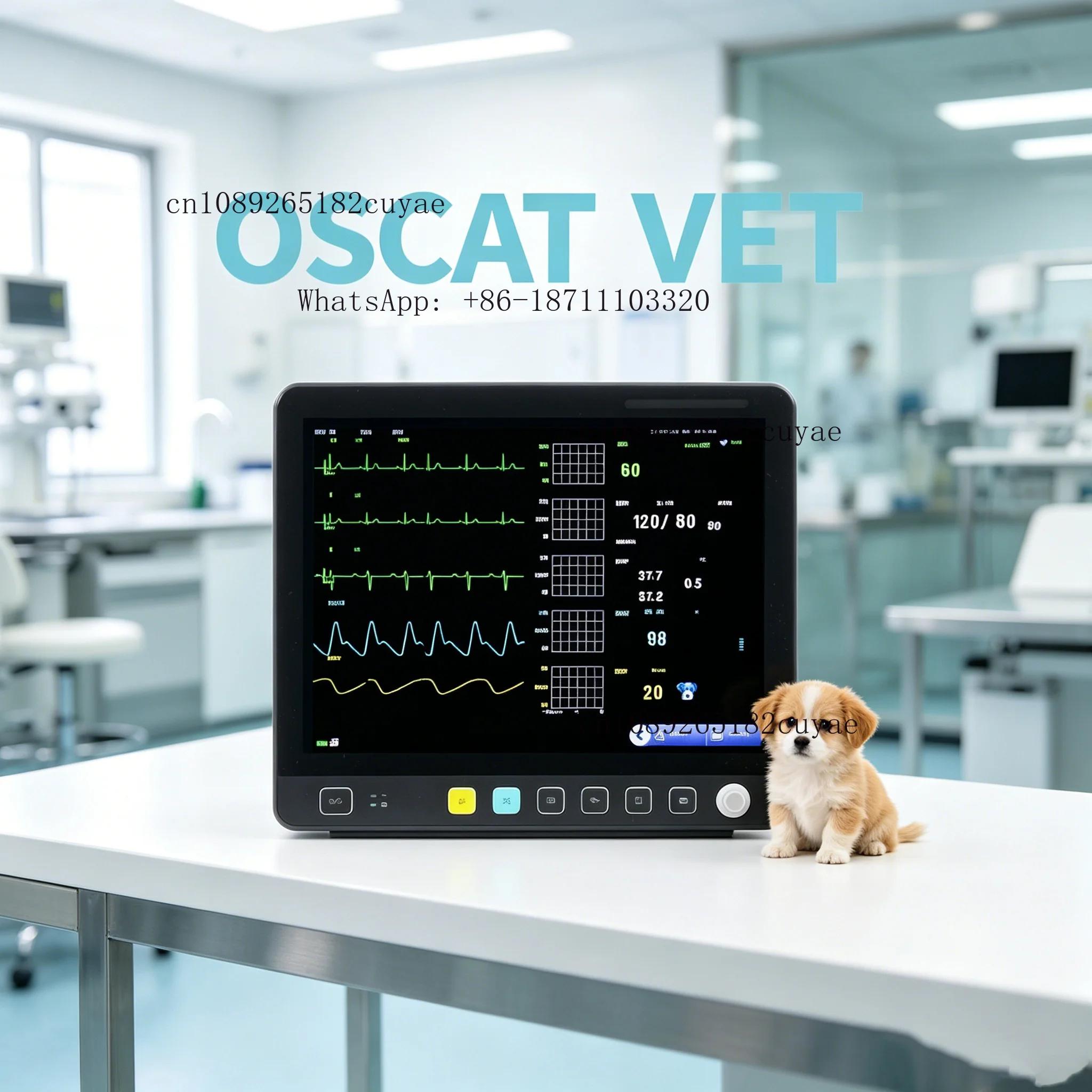 OSCAT 15 Inch Modular Veterinary Monitor Veterinary Instrument Budget Friendly for Southeast Asia Pet Shop Clinic