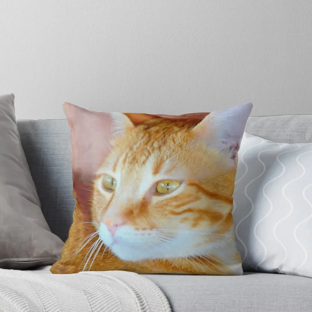 Cupid the Ginger Cat Throw Pillow Pillowcases christmas decorations 2025 pillow