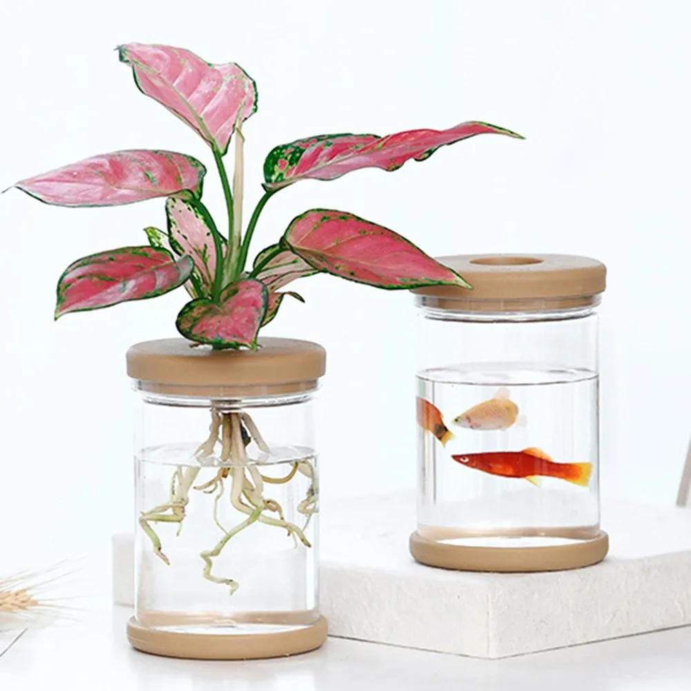 Clear Plastic Flower Pot for Small Indoor Plants Featuring Water Storage Capacity and Balanced Air Circulation for Roots