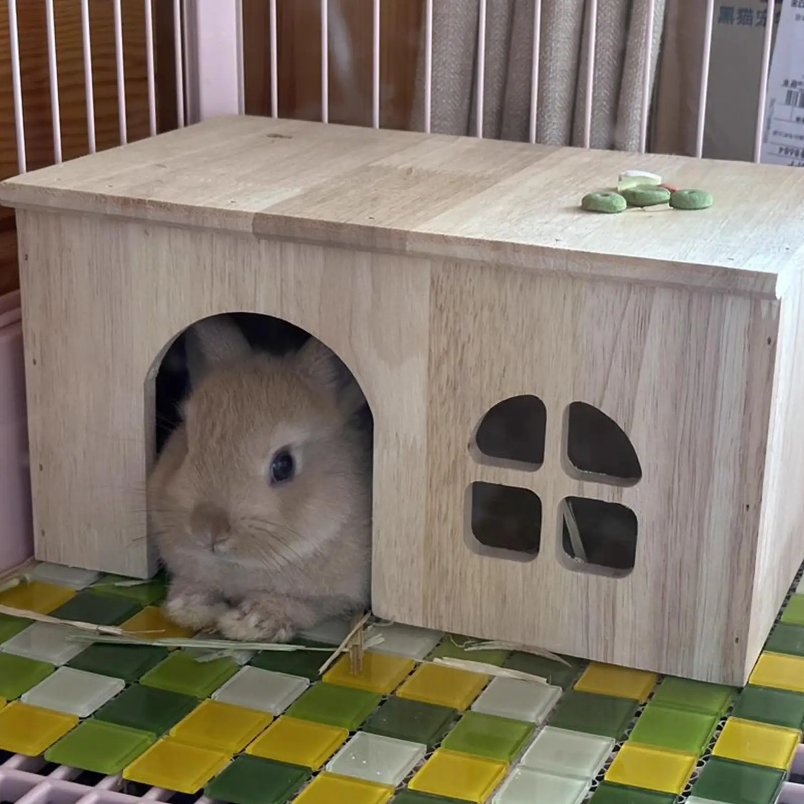 #25 Hamster Habitats List of Top Picks