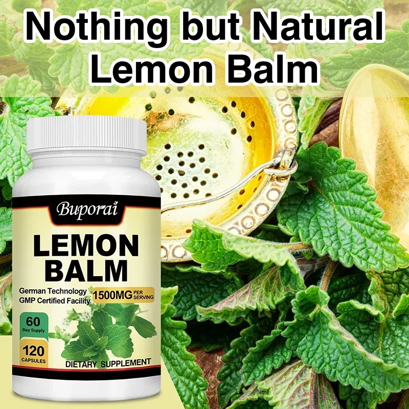 Lemon Balm - Improve Mood and Brain Health, Relieve Stress, Improve Digestion