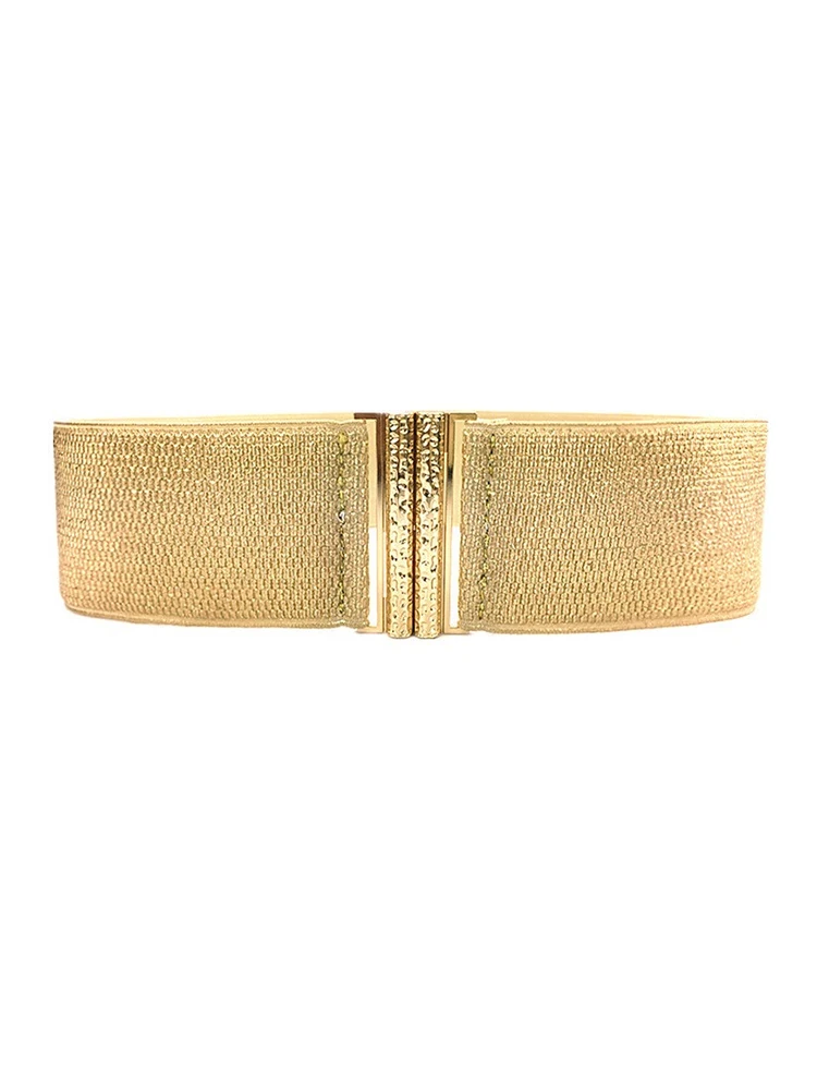 Ceinture de jupe élastique polyvalente pour femme, ceinture dorée à taille large, ceinture décorative en duvet, pull de veste, SCB0319