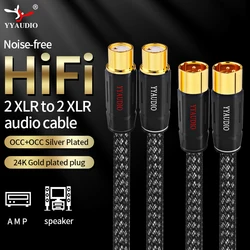 YYAUDIO Hifi 2XLR Audio Cable Hi-End Occ Silver Plated 2xlr Balance Cable for Microphone Mixer xlr Male to Female Audio Cord