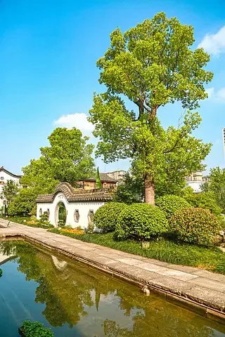 

Рама для квадрокоптера Mark4 7 дюймов (295 мм), толщина лучей 5 мм, карбон 3K, для FPV фристайла и гоночных дронов, комплект рамы, запчасти для радиоуправляемых моделей