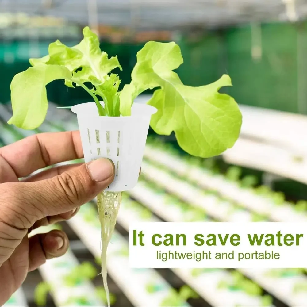 50/100Pcs 2 Inch Hydroponic Basket Cup Durable Safe Plastic Hydroponic Slotted Mesh Cups Garden Net Pots for Garden Hydroponics