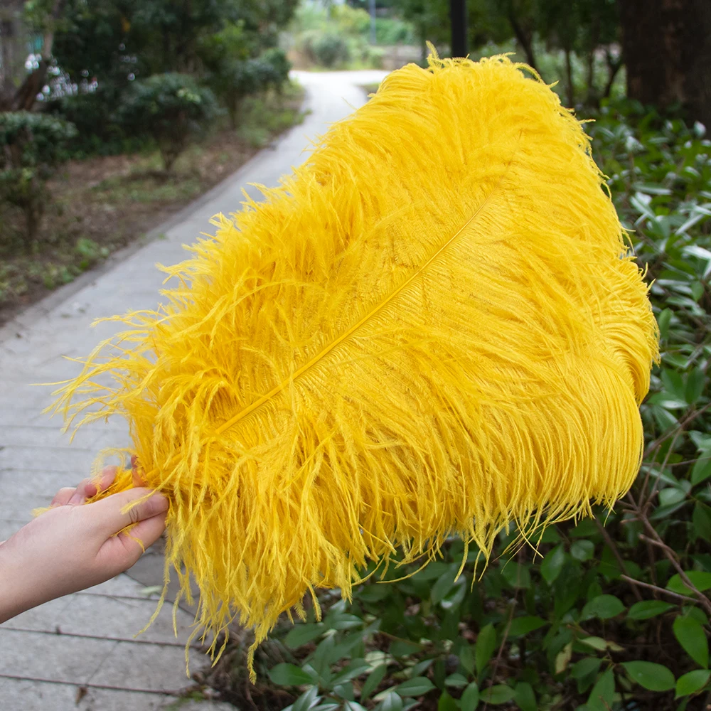 10Pcs Red Yellow Ostrich Feathers 15-60cm High Quality Plumas Wedding Table Centerpieces Carnival DIY Craft Decor Accessory