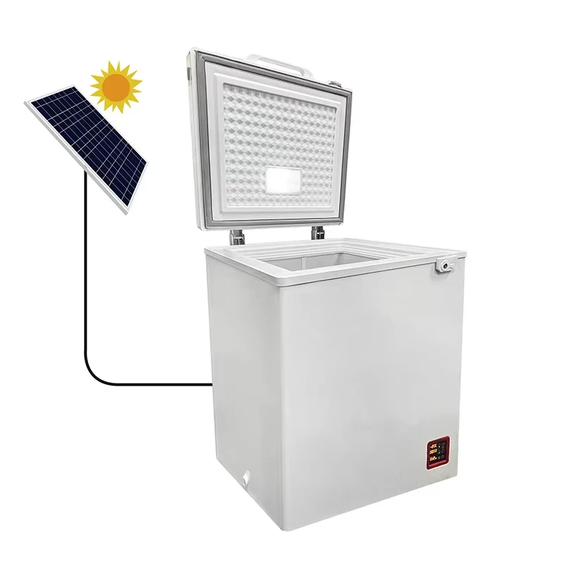 

Solar Panel Dc 12v 108L 208L 308L Deep Freezer Solar Directly Powered Freezer with Panel Battery