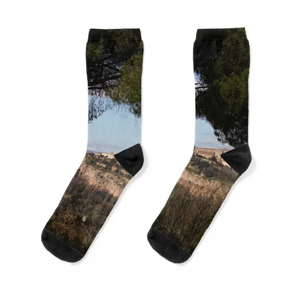 

Orvieto framed by pine trees Socks cool with print anti-slip funny sock Socks Men Women's