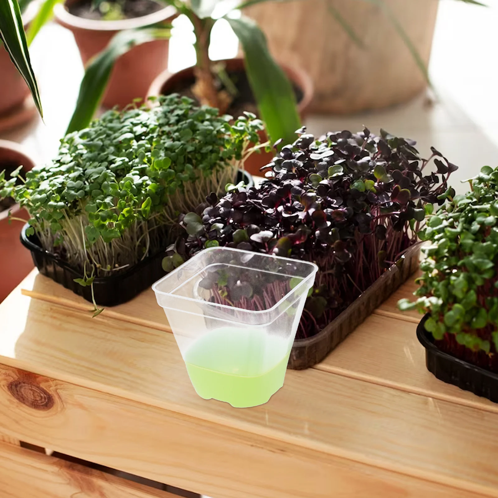 6pcs Square Transparent Plant Pot Reusable Breathable Planter With Silicone Base For Indoor Outdoor Gardening Clear Nursery