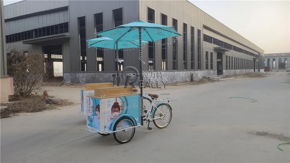 Outdoor Ice Cream Bike With Freezer Mobile Fast 3 Wheel Electric Tricycle Ice Lolly Popsicle Food Vending Cart