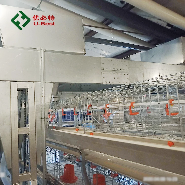 

Automatic Chicken Feeding Machine Low Price Poultry Battery Farming Cage for Layer