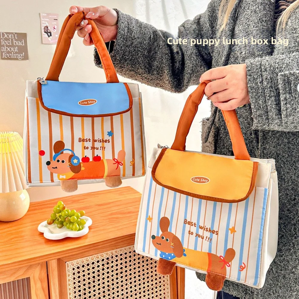 

Cute Insulated Lunch Bag Large Capacity Thermal Food Storage Tote Portable Lunch Box Bag for Woman Office Kids School Picnic