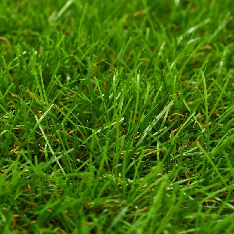 Imagen 4: Césped artificial 1x5 m/30 mm verde