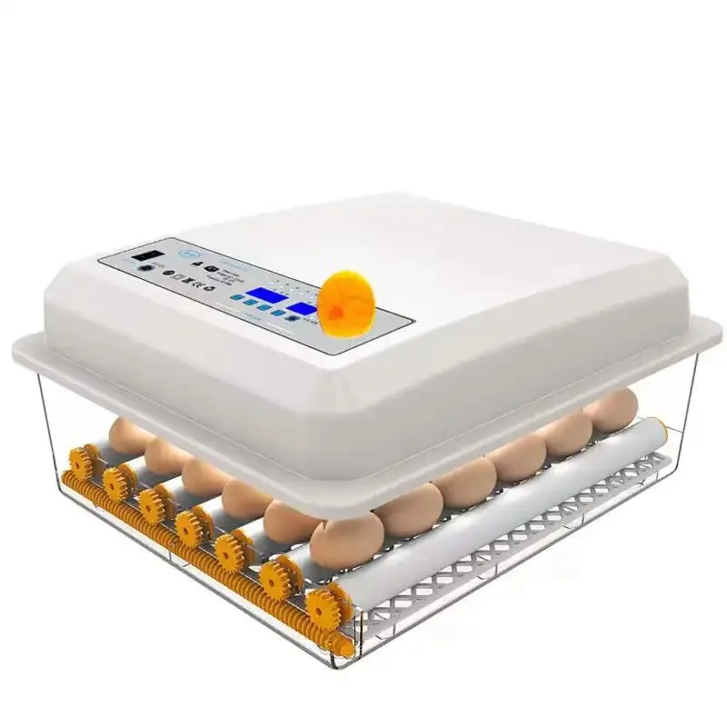 36 Small Egg Incubators for Hatching with Automatic Turning and Humidity Control