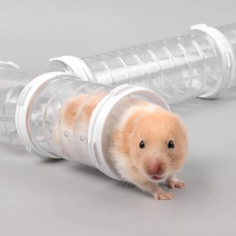 Túnel Gerbil Túnel Diy Tubo Clear Monte Túnel Diy Adequado para Túnel Clear para Adesortos Mouse da gaiola hamster