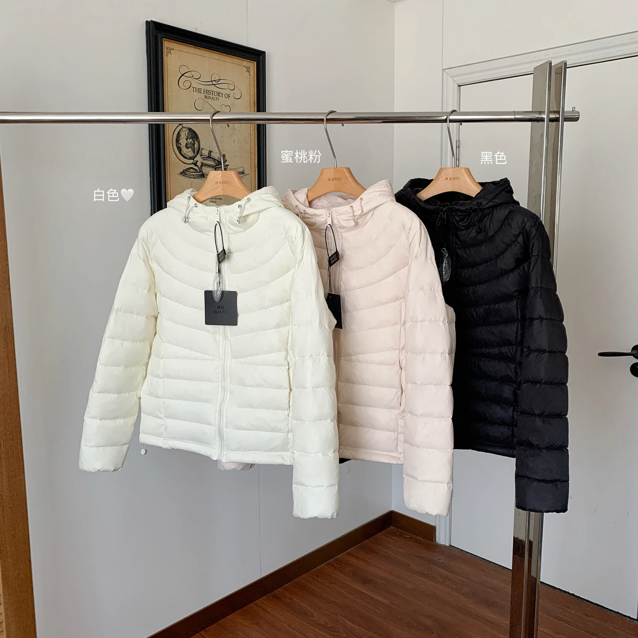 Dames herfst winter lichte capuchon witte eendendons jas dame dikke warme effen kleur ritssluiting lange mouw losse dons uitloper top