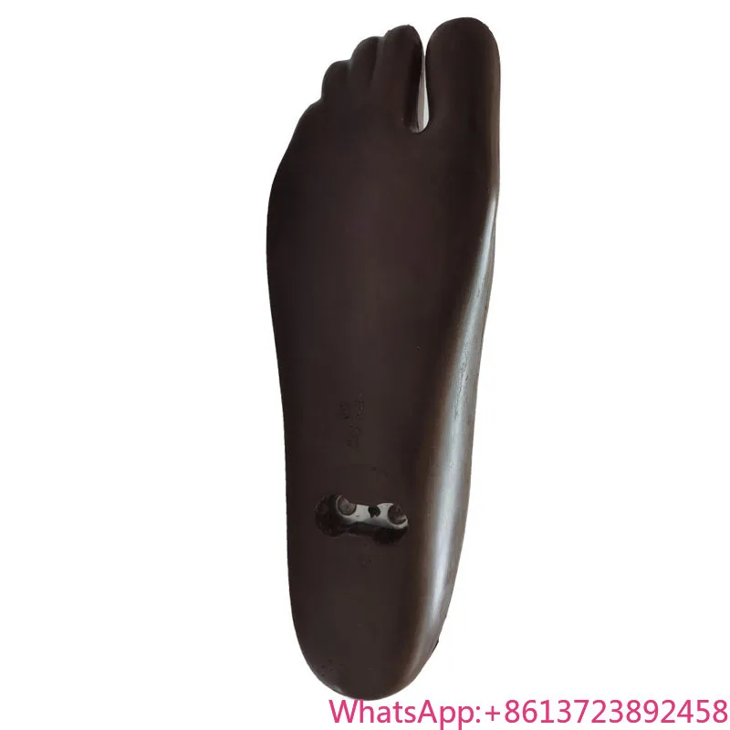 

Prosthetic Manufacturer Brown Polyurethane Double Axis Foot With Toes Prosthetic Foot Prosthetic Foot