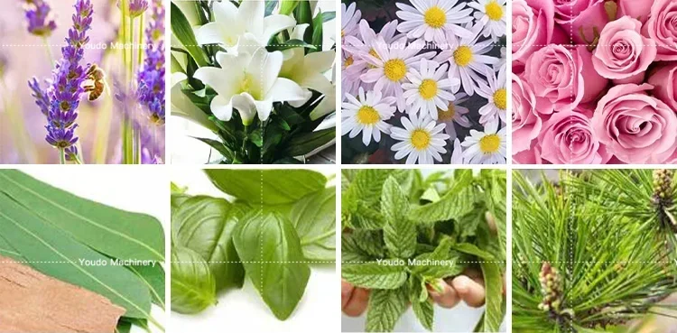 10L 21L 55L مستخرج الزيوت العطرية المنزلية جهاز تقطير الزيوت العطرية