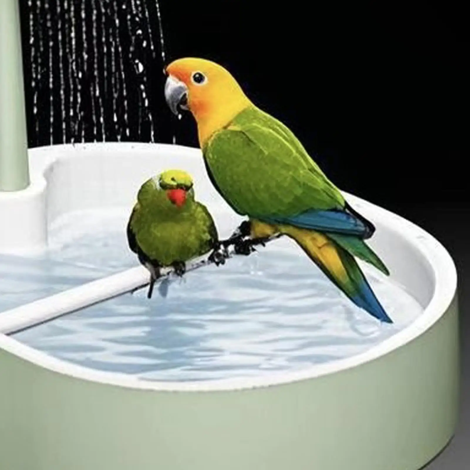 Parrot Bath Bird Cage Fountain Basin Parrotlet Shower Fountain For Home Apartment Balcony Parrot Parakeet Cockatiel Conure view 5