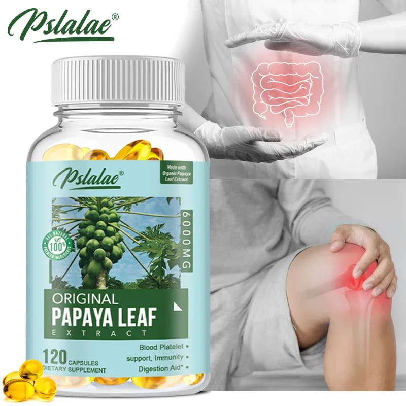 

Papaya Leaf Extract 6000 Mg - Supports Platelet Production, Purifies The Blood, and Improves The Digestive System and Gut Health